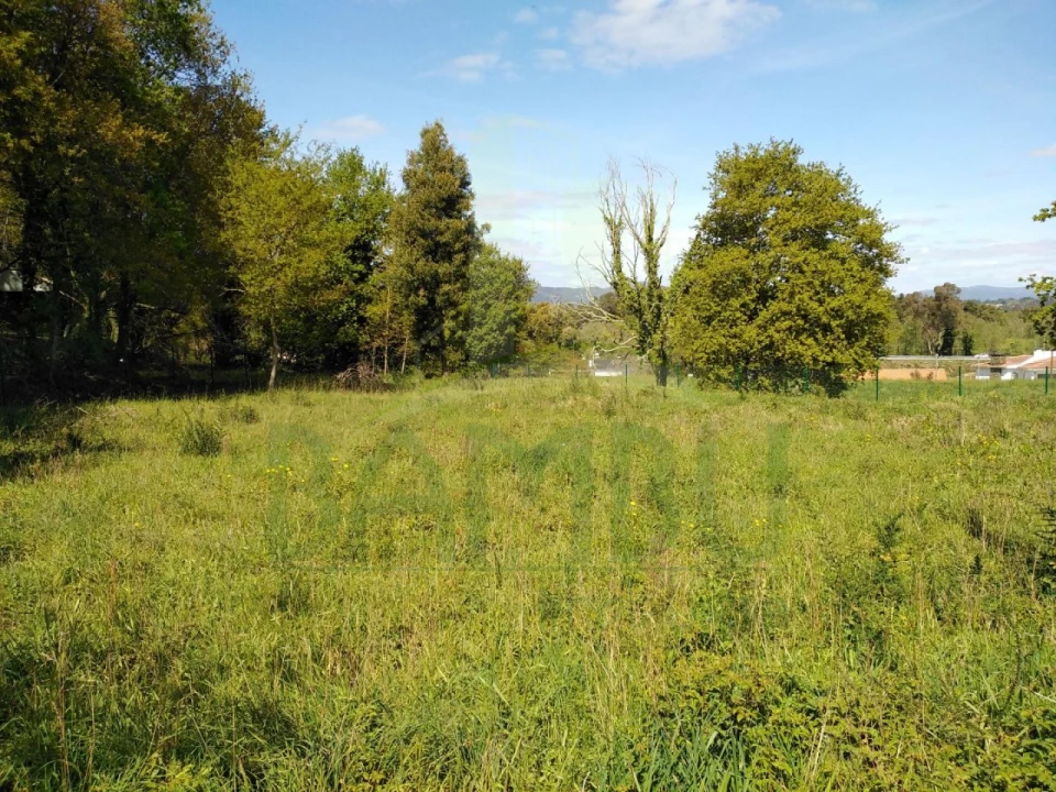 Terreno para Venda em Gondarem Foto 3