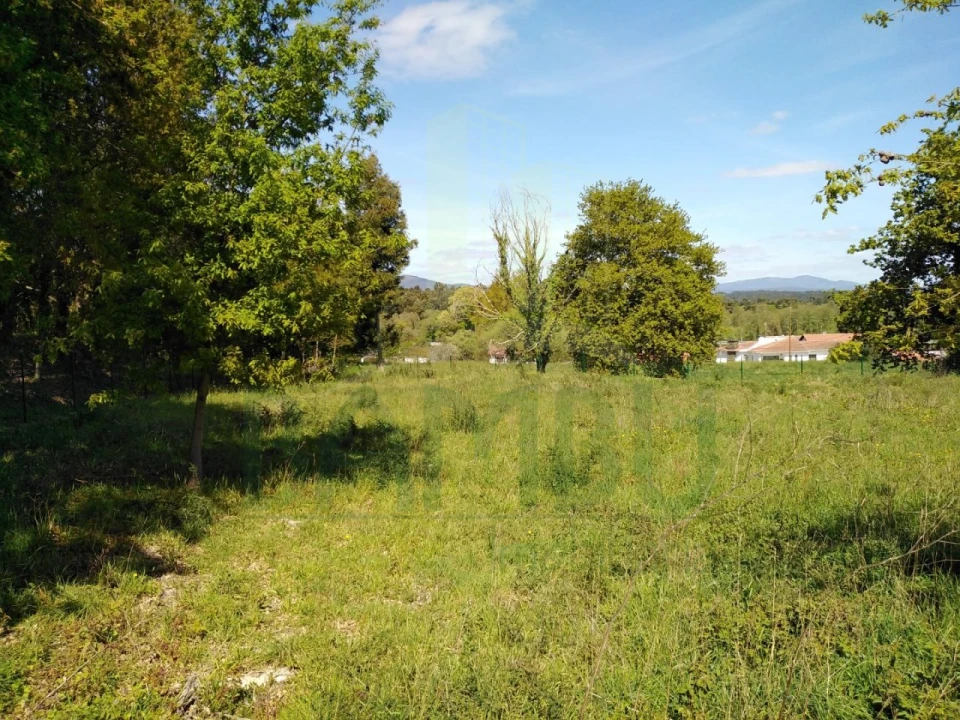 Terreno para Venda em Gondarem Foto 5