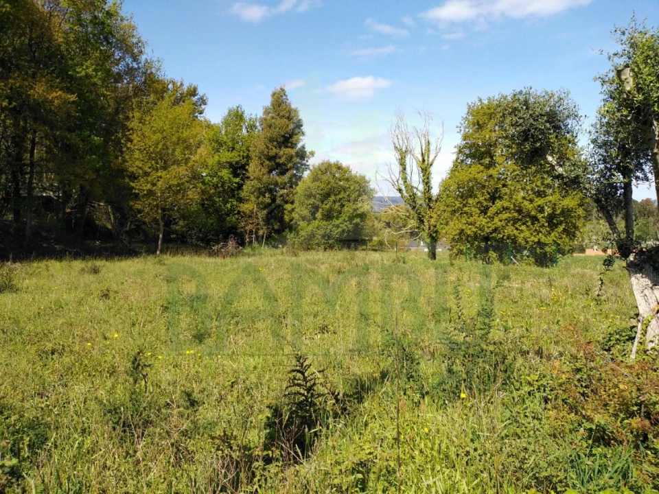 Terreno para Venda em Gondarem Foto 7
