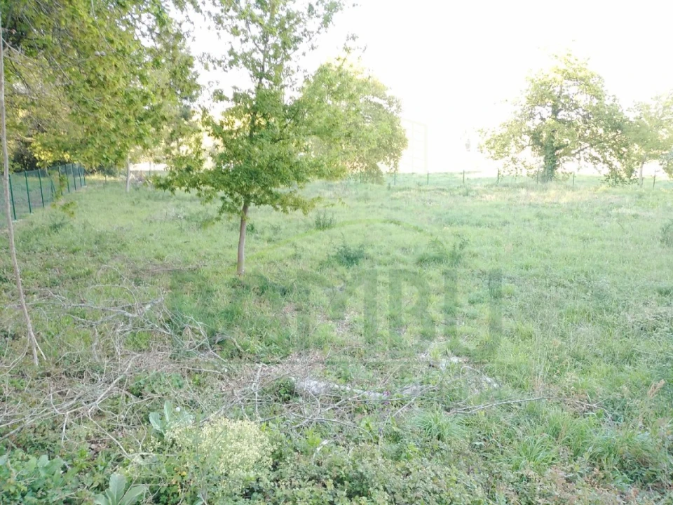 Terreno para Venda em Gondarem Foto 9