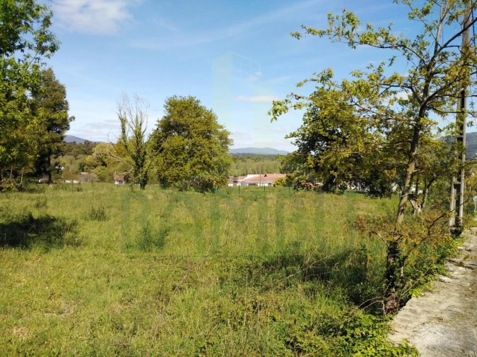 Terreno para Venda em Gondarem Foto 2