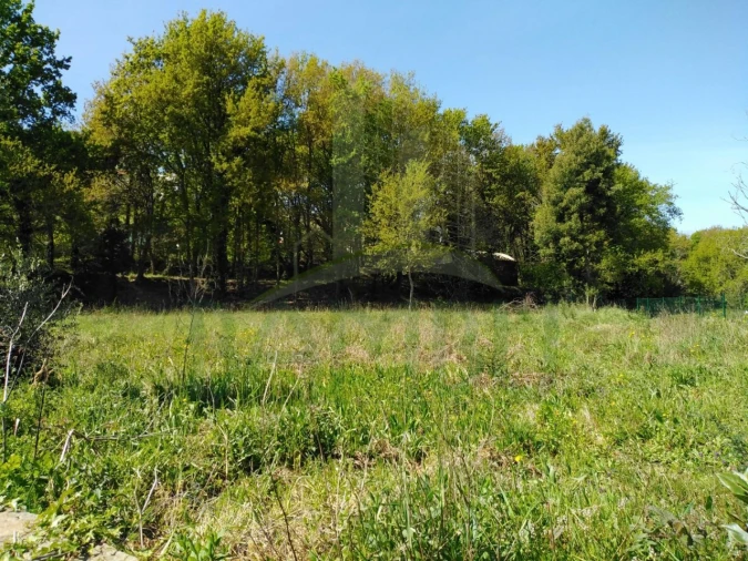 Terreno para Venda em Gondarem Foto 8