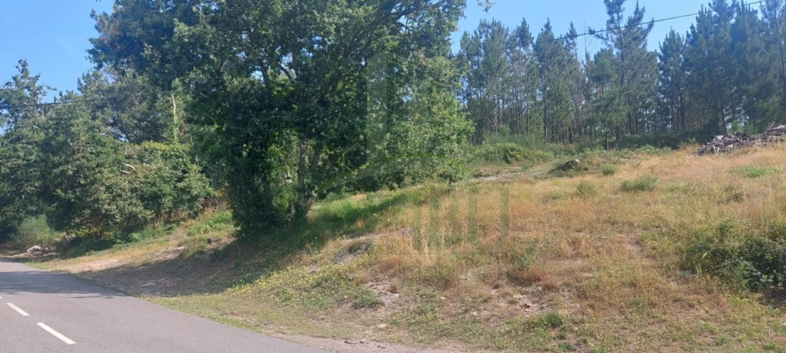 Terreno para Venda em Gondomil e Sanfins Foto 1
