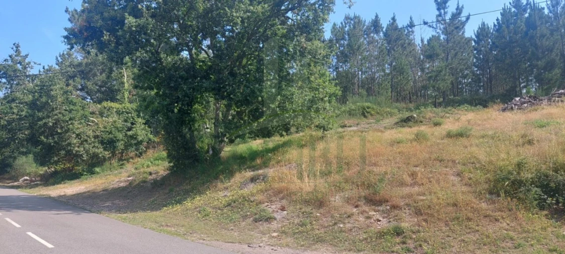 Terreno para Venda em Gondomil e Sanfins