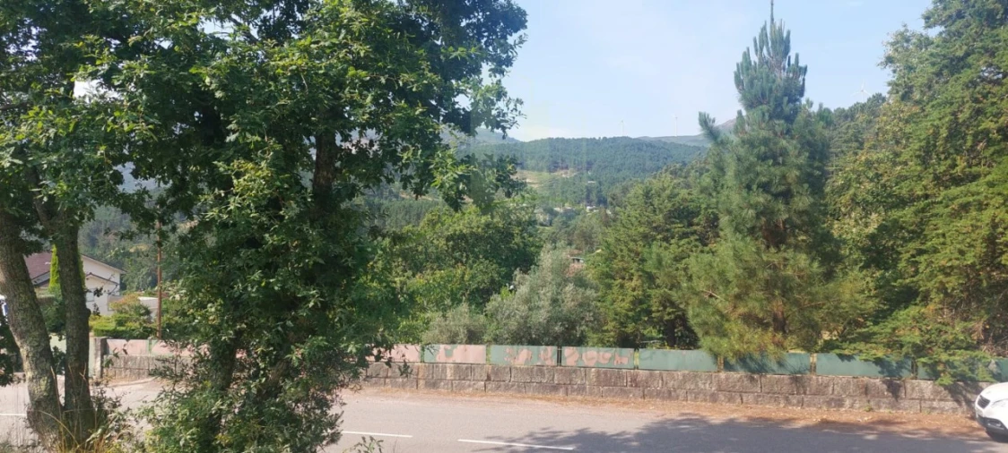 Terreno para Venda em Gondomil e Sanfins Foto 6