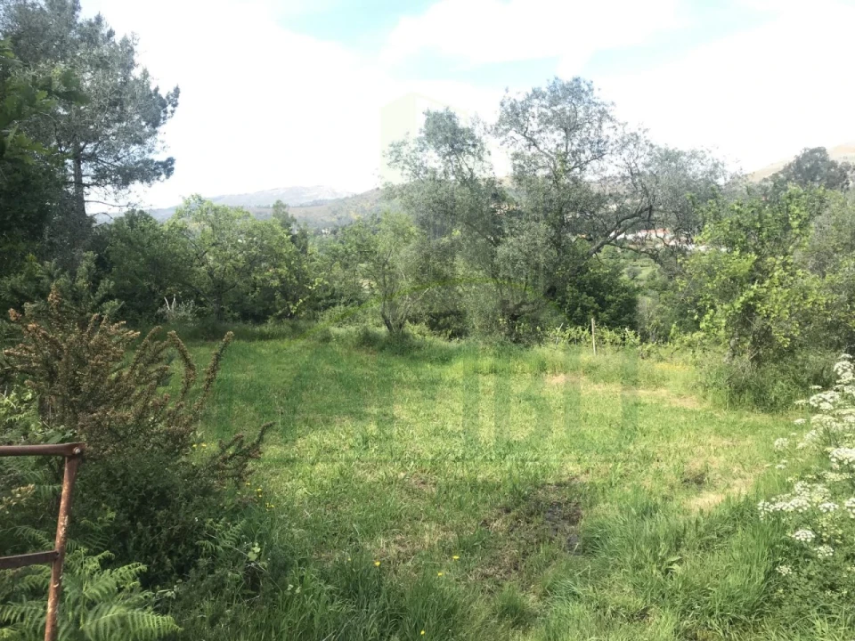 Terreno para Venda em Cerdal Foto 2