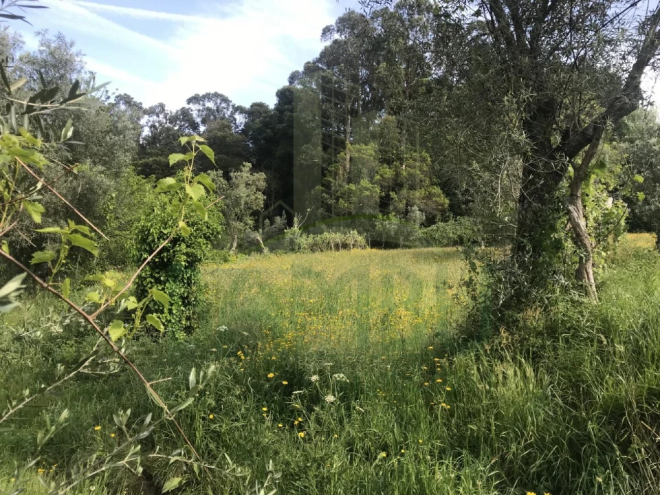 Terreno para Venda em Cerdal Foto 6