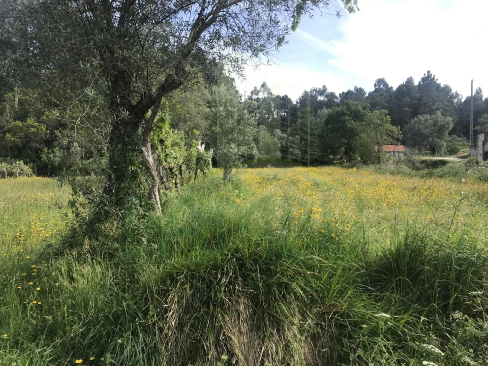 Terreno para Venda em Cerdal Foto 7