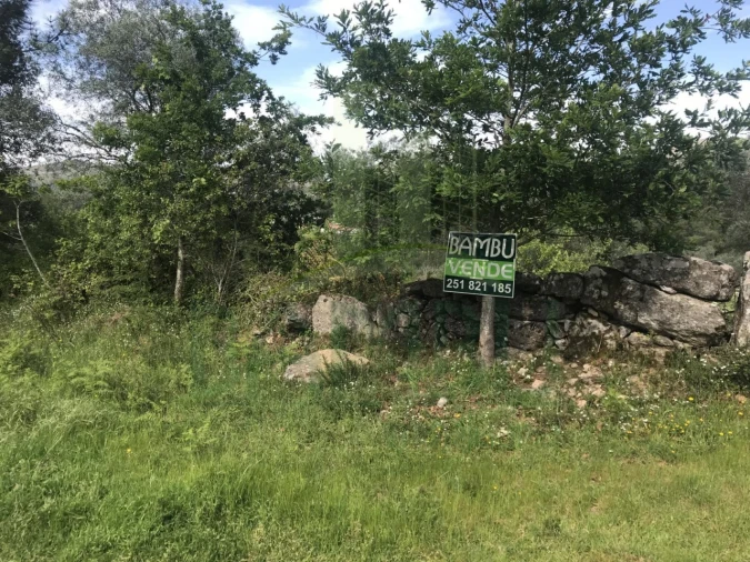 Terreno para Venda em Cerdal Foto 3