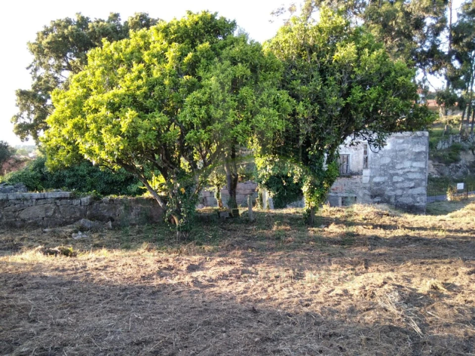 Moradia para Venda em Cambeses Foto 15