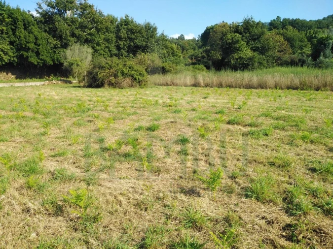 Terreno para Venda em Cornes Foto 2