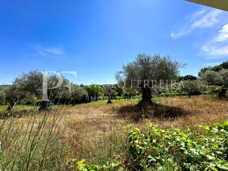 Moradia T4 para Venda em Torre de D. Chama Foto 10