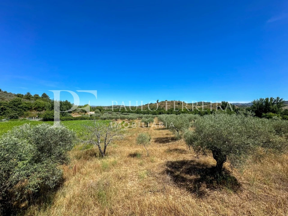 Moradia T4 para Venda em Torre de D. Chama Foto 45