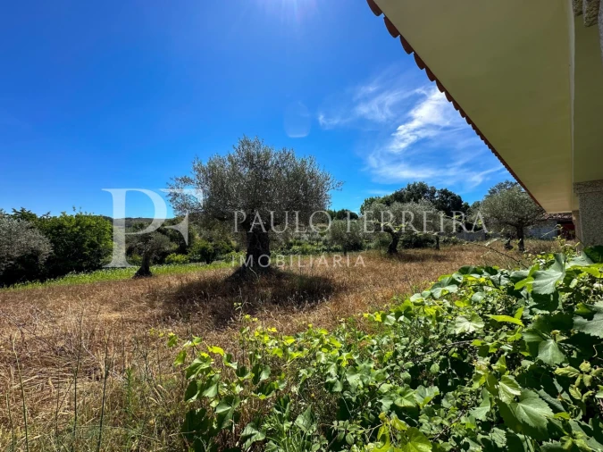 Moradia T4 para Venda em Torre de D. Chama Foto 11