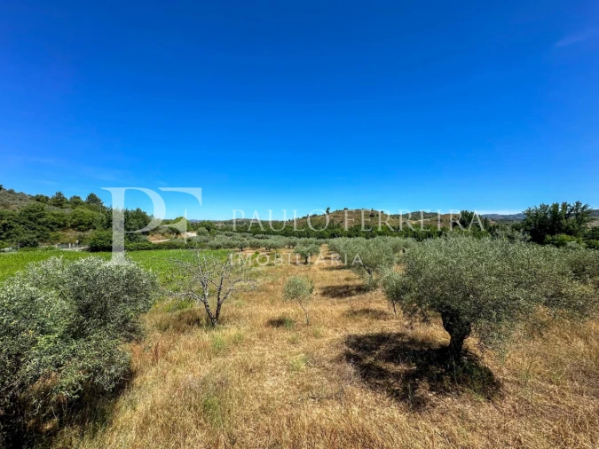 Moradia T4 para Venda em Torre de D. Chama Foto 45