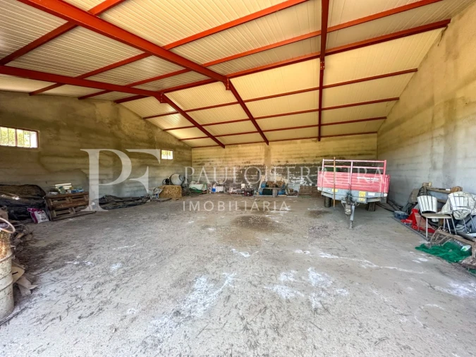 Moradia T4 para Venda em Torre de D. Chama Foto 47