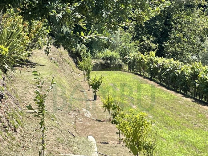 Moradia para Venda em Ganfei Foto 32