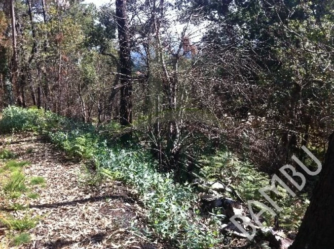 Terreno para Venda em Venade e Azevedo Foto 5