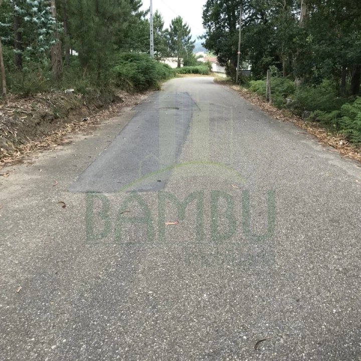 Terreno para Venda em São Pedro da Torre Foto 7