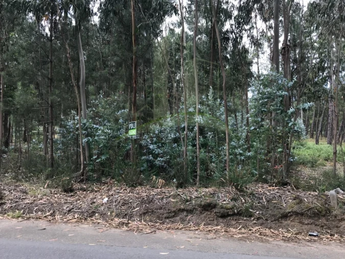 Terreno para Venda em São Pedro da Torre Foto 4