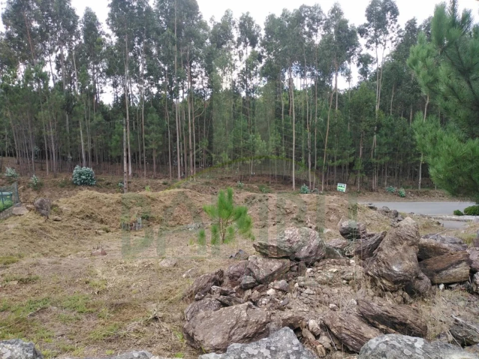 Terreno para Venda em Sopo Foto 1