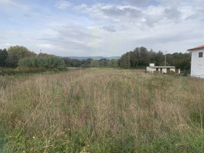 Terreno para Venda em Gondarem Foto 2