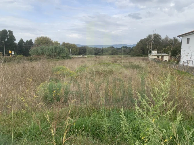 Terreno para Venda em Gondarem Foto 3