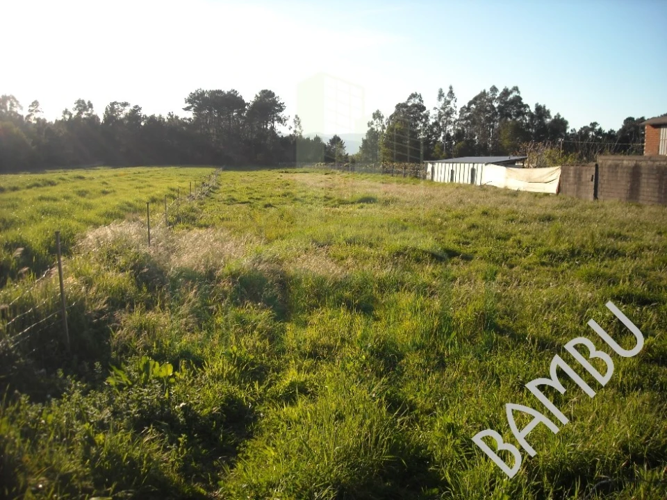 Terreno para Venda em Cornes Foto 1