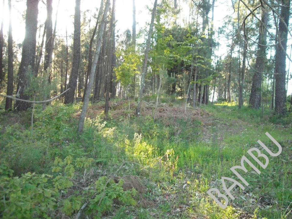 Terreno para Venda em Cornes Foto 3