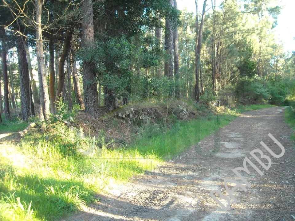 Terreno para Venda em Cornes Foto 4