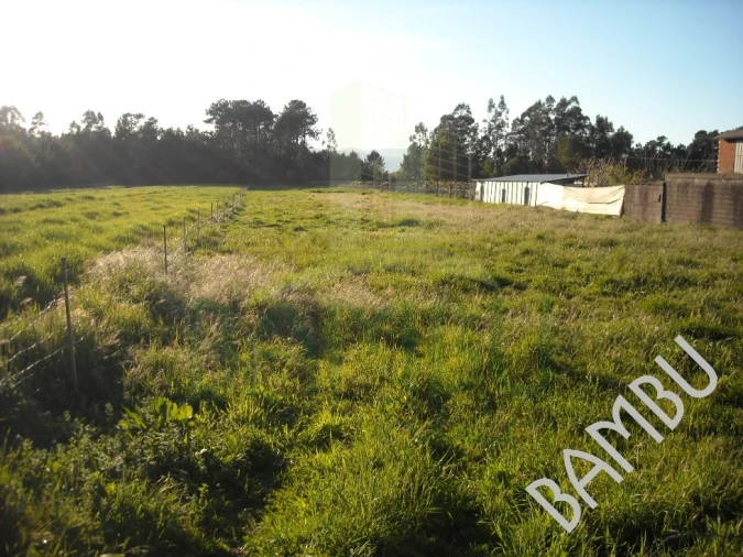 Terreno para Venda em Cornes Foto 1