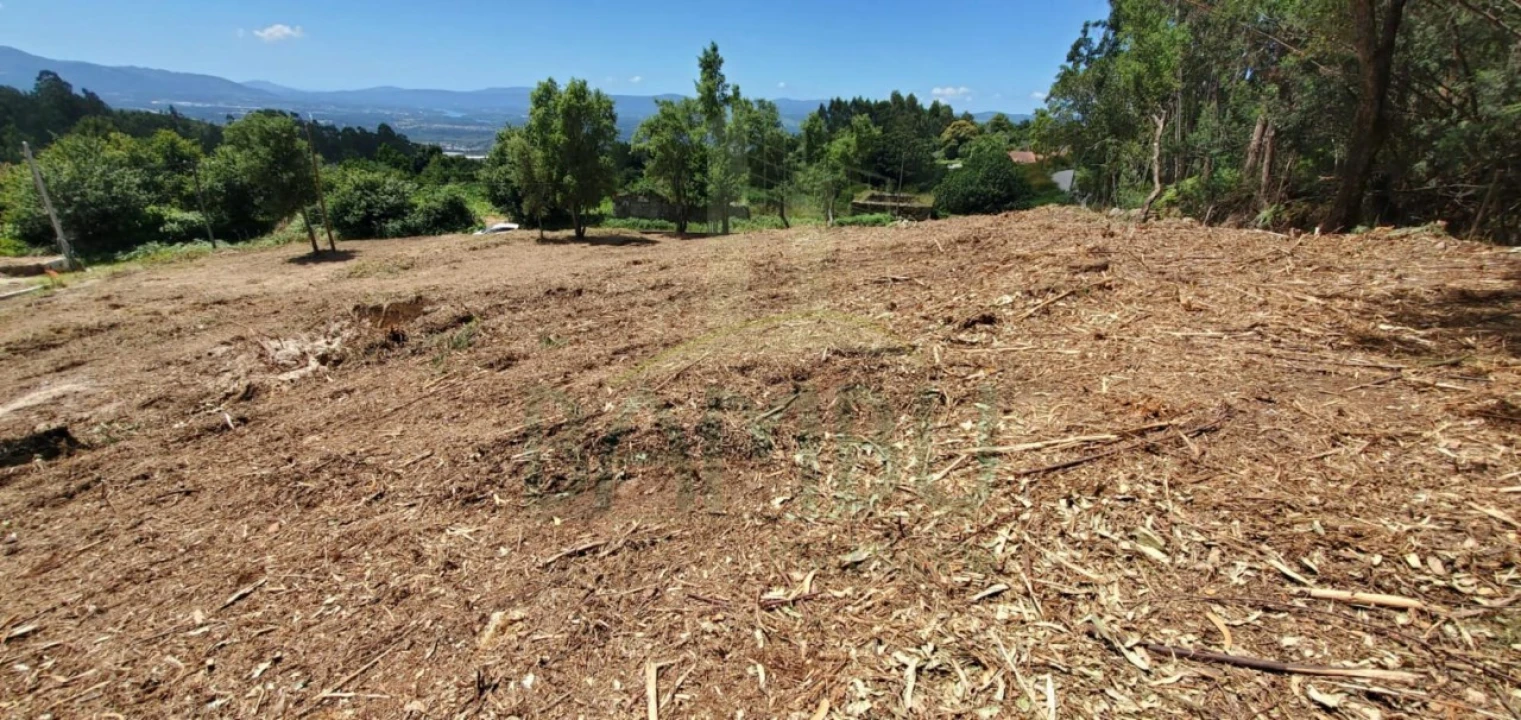 Terreno para Venda em Gandra e Taião Foto 3