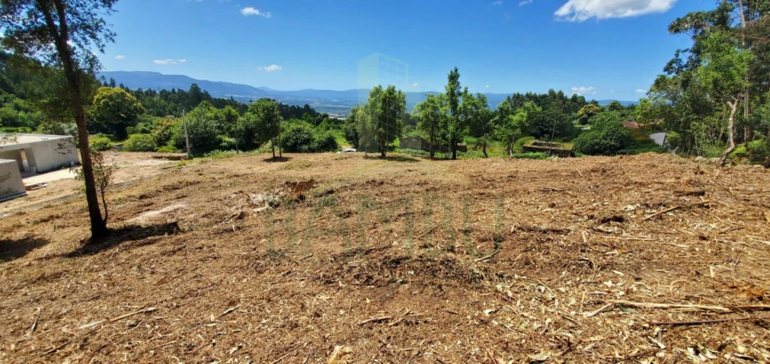 Terreno para Venda em Gandra e Taião Foto 6