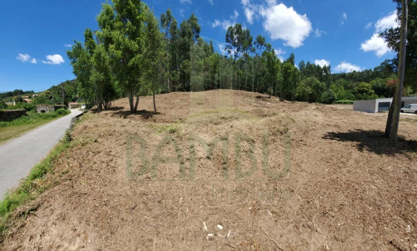 Terreno para Venda em Gandra e Taião Foto 4
