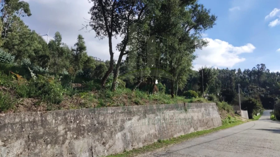 Terreno para Venda em Gandra e Taião Foto 2