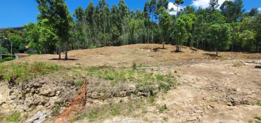 Terreno para Venda em Gandra e Taião Foto 8