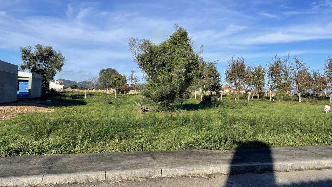 Terreno para Venda em Friestas Foto 2