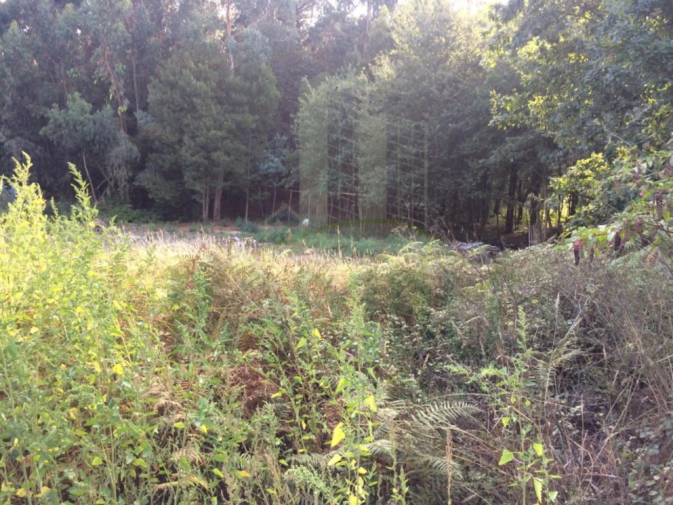 Terreno para Venda em Lanhelas Foto 3