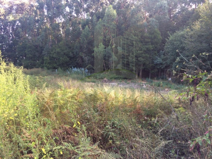 Terreno para Venda em Lanhelas Foto 4
