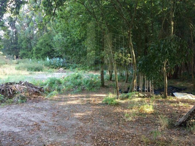 Terreno para Venda em Lanhelas Foto 1