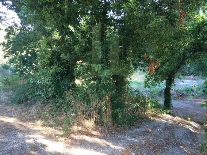 Terreno para Venda em Lanhelas Foto 5