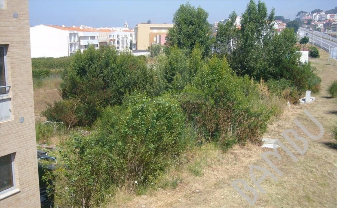 Terreno para Venda em Vila Praia de Ancora Foto 5