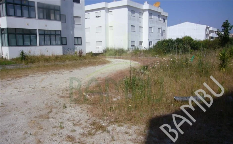 Terreno para Venda em Vila Praia de Ancora Foto 3