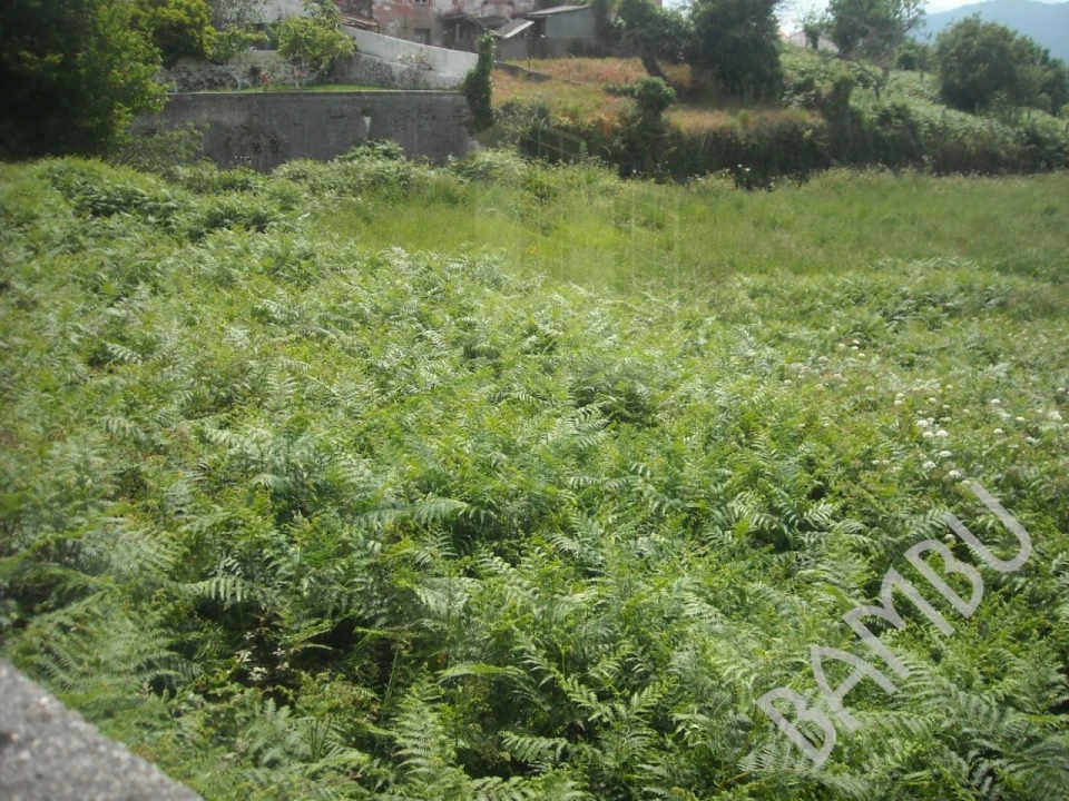 Terreno para Venda em Cerdal Foto 4