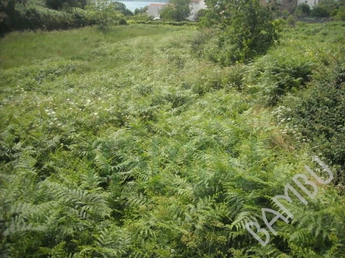 Terreno para Venda em Cerdal Foto 5