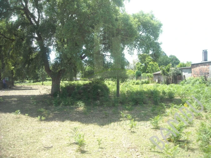 Terreno para Venda em Cerdal Foto 6