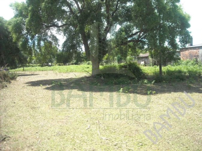 Terreno para Venda em Cerdal Foto 8