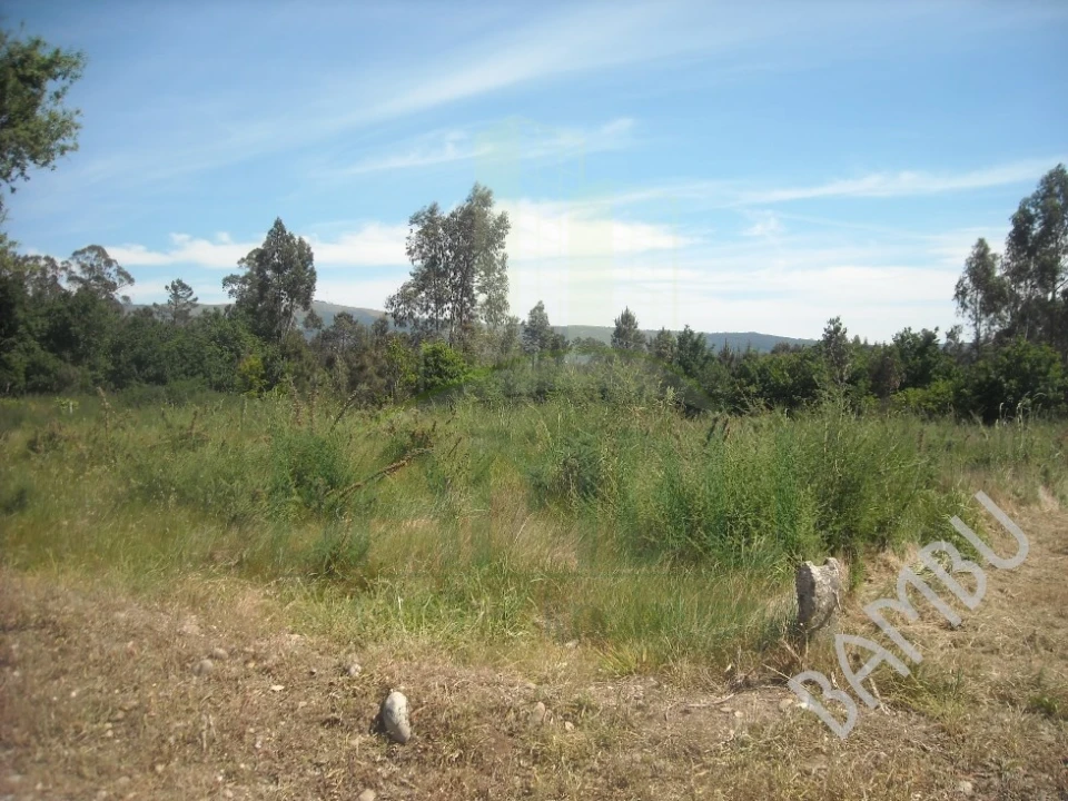 Terreno para Venda em Valença, Cristelo Covo e Arão Foto 1