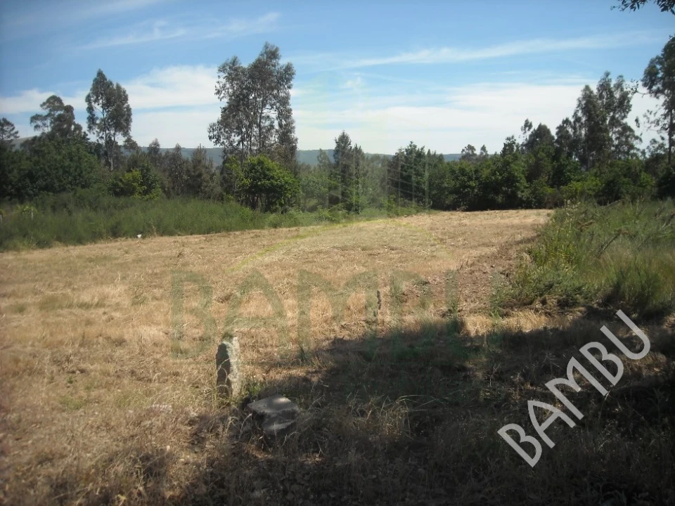 Terreno para Venda em Valença, Cristelo Covo e Arão Foto 4