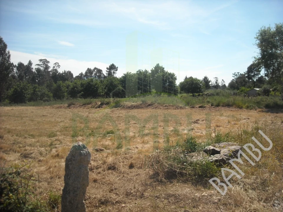 Terreno para Venda em Valença, Cristelo Covo e Arão Foto 5